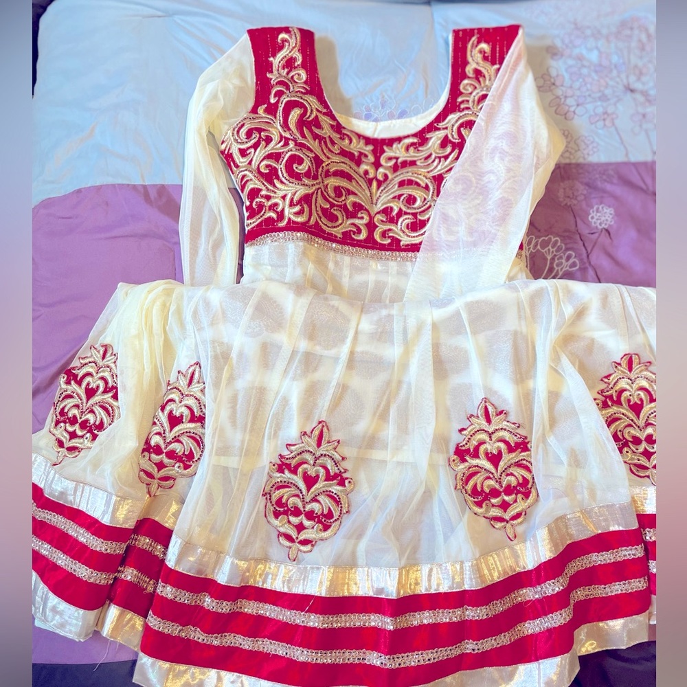 Punjabi/Pakistani Anarkali suit